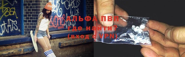 ECSTASY Богданович