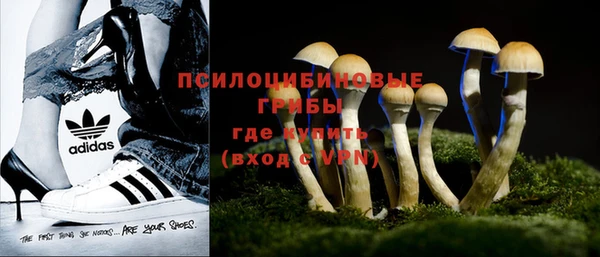 метадон Бородино